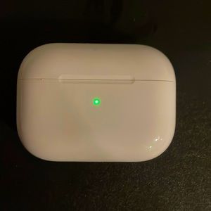 AirPod Pro case and case protector